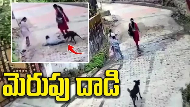 రోడ్డుపై నడుచుకుంటూ వెళుతున్న పిల్లాడిపై వీధి కుక్క దాడి..