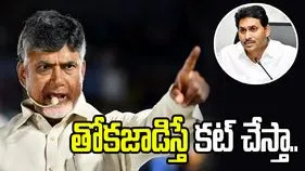 నా దగ్గర తోకజాడిస్తే కట్ చేస్తా.. జగన్ అండ్ కోకి సీఎం చంద్రబాబు వార్నింగ్
