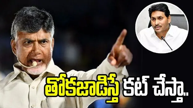 నా దగ్గర తోకజాడిస్తే కట్ చేస్తా.. జగన్ అండ్ కోకి సీఎం చంద్రబాబు వార్నింగ్
