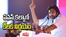 పవన్ కల్యాణ్ కీలక నిర్ణయం.. ఉమ్మడి నెల్లూరు జిల్లా కమిటీల రద్దు