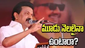 విజయ్ ప్రభుత్వం మూడు నెలలు కూడా ఉండకపోవచ్చు.. స్టాలిన్ సంచలన వ్యాఖ్యలు..