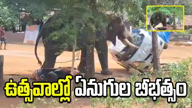 కేరళ ఆలయ ఉత్సవాల్లో విషాదం.. ఏనుగుల దాడిలో ఇద్దరి మృతి