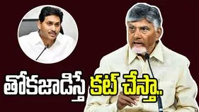 నా దగ్గర తోకజాడిస్తే కట్ చేస్తా.. జగన్ అండ్ కోకి సీఎం చంద్రబాబు వార్నింగ్
