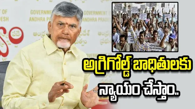 అగ్రిగోల్డ్ కేసు.. ముగ్గురు సభ్యులతో కమిటీ ఏర్పాటు చేయాలి: సీఎం ఆదేశం