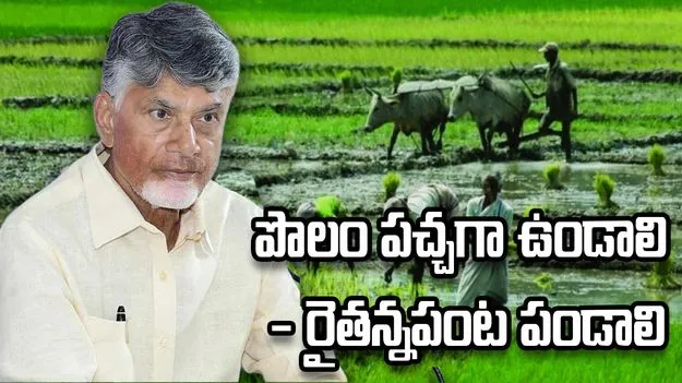 సాగుకు భద్రత, రైతుకు అధిక ఆదాయమే లక్ష్యం: సీఎం చంద్రబాబు