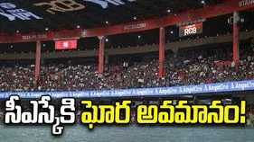 'దోశ, ఇడ్లీ' పాటపై బీసీసీఐకి సీఎస్కే ఫిర్యాదు..