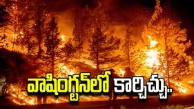 వాషింగ్టన్‌లో భారీ కార్చిచ్చు.. 2.5 లక్షల ఎకరాలు దగ్ధం.. 