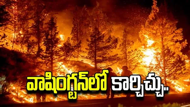 వాషింగ్టన్‌లో భారీ కార్చిచ్చు.. 2.5 లక్షల ఎకరాలు దగ్ధం.. 