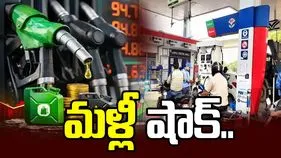 వాహనదారులకు షాక్.. మరోసారి పెరిగిన పెట్రోల్, డీజిల్ ధరలు.. 