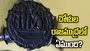 యావత్ దక్షిణ భారతానికి తామే సర్వాధికారులమని చాటిచెప్పే  చోళ రాజముద్ర! 