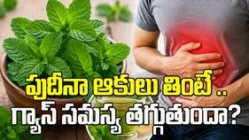 పుదీనా ఆకులు తింటే.. గ్యాస్ సమస్య తగ్గుతుందా?
