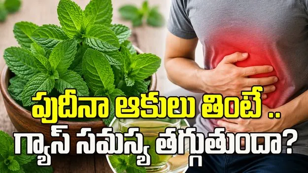 పుదీనా ఆకులు తింటే.. గ్యాస్ సమస్య తగ్గుతుందా?