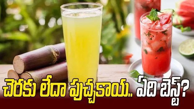 చెరకు లేదా పుచ్చకాయ.. వేసవిలో ఏది బెస్ట్? 