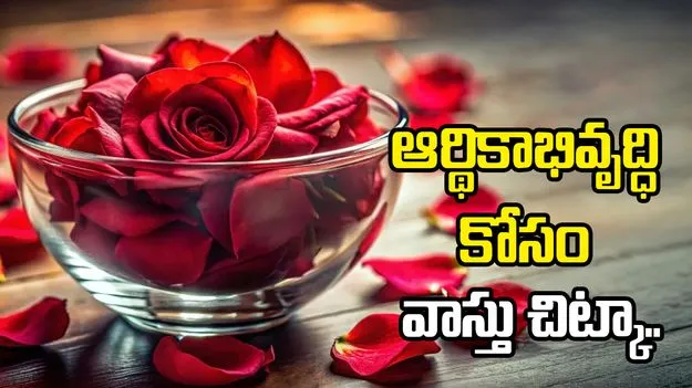 ఇంటికి ఈ దిశలో గులాబీ రేకులు ఉంచితే ధనలక్ష్మి కటాక్షం!