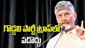 గొడ్డలి పార్టీ ట్రాప్‌లో పడొద్దు: సీఎం చంద్రబాబు
