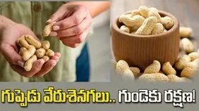 రోజూ గుప్పెడు వేరుశెనగలు తింటే గుండె ఆరోగ్యంగా ఉంటుందా?