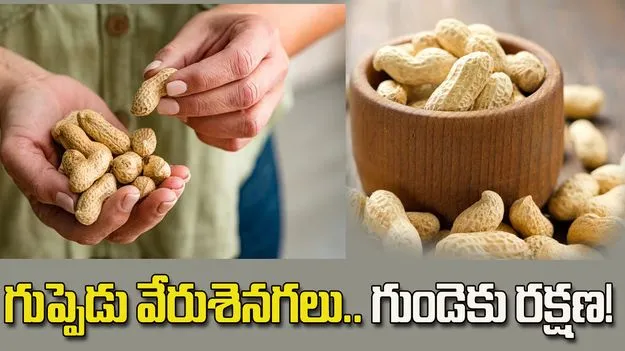 రోజూ గుప్పెడు వేరుశెనగలు తింటే గుండె ఆరోగ్యంగా ఉంటుందా?