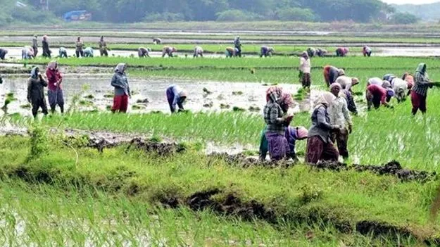 రైతన్నా.. మీకోసం!