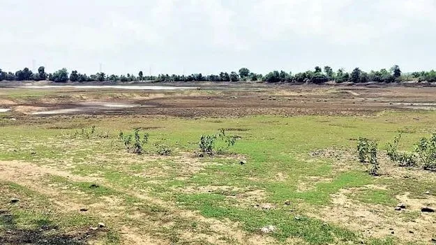 కంపెనీలకు భూముల కేటాయింపు