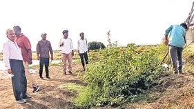 అక్రమ చేపల చెరువులపై విజిలెన్స్‌ దాడులు