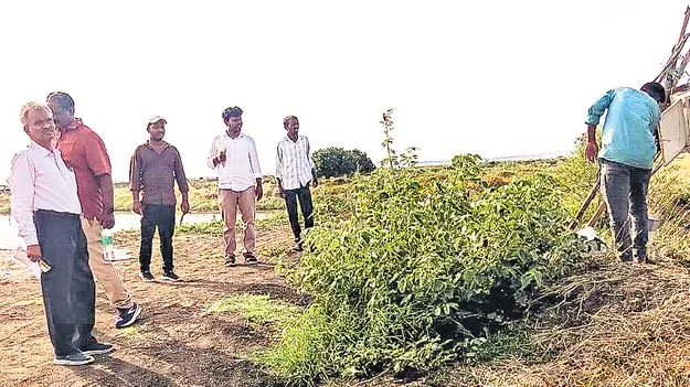 అక్రమ చేపల చెరువులపై విజిలెన్స్‌ దాడులు