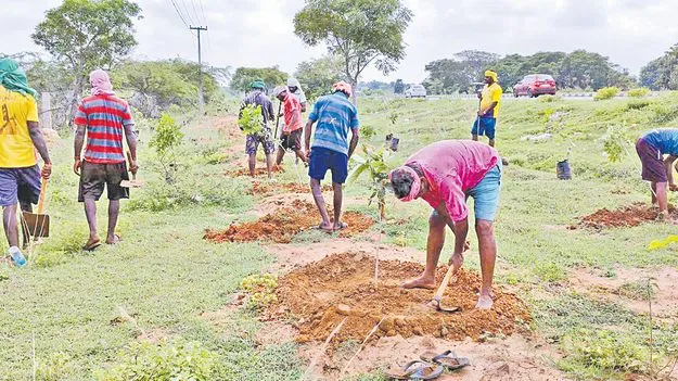 లక్ష ఎకరాల్లో ఉద్యాన పంటలు