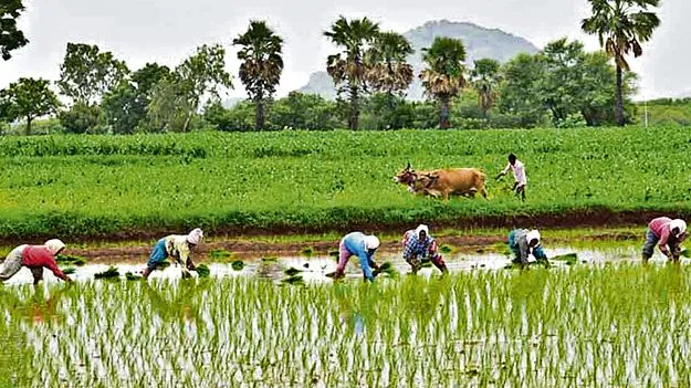రాజధాని రైతులకు కౌలు పెంపు 