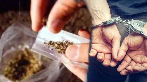 చదివేది డిగ్రీ.. చేసేది గంజాయి రవాణా