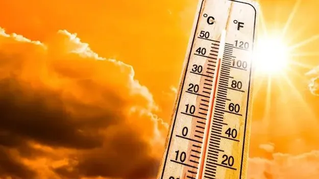 మండిన రాయలసీమ