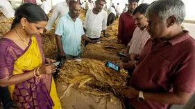 పొగాకు రైతులకు శుభవార్త..!