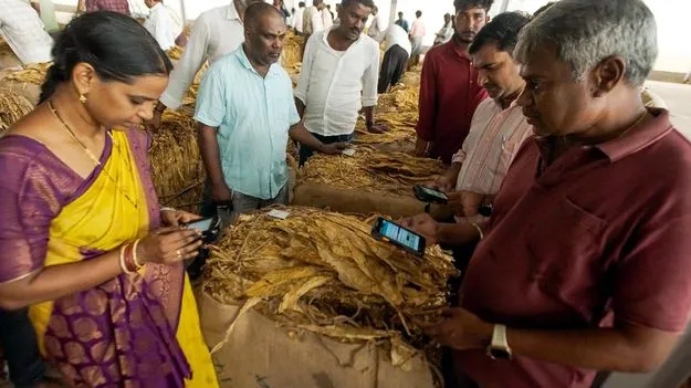 పొగాకు రైతులకు శుభవార్త..!