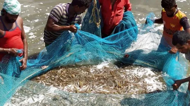 4 కాదు.. రూ.2లే తగ్గిస్తాం!