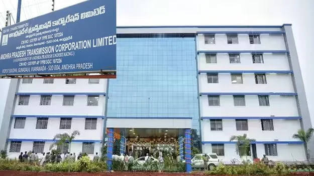 పుదీనా మొక్క రూ.25.. వేప రూ.500