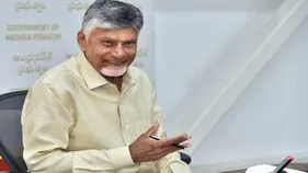 ఆర్థిక వృద్ధి విశ్లేషణకు నెలవారీ నివేదికలు