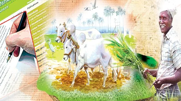 చిక్కుముళ్లకు విముక్తి 