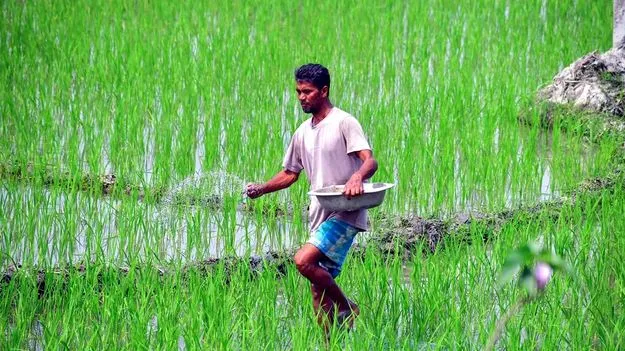యూరియాకు ప్రత్యేక కార్డుల విధానం