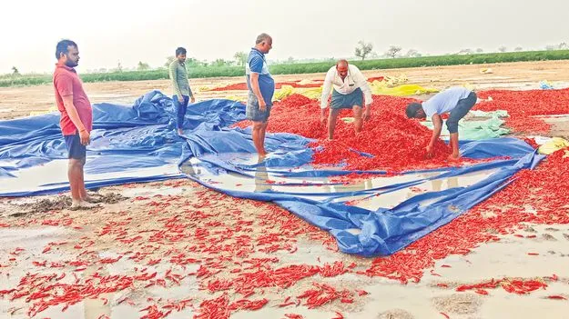 ఠారెత్తించిన ఎండ.. దంచికొట్టిన వాన!