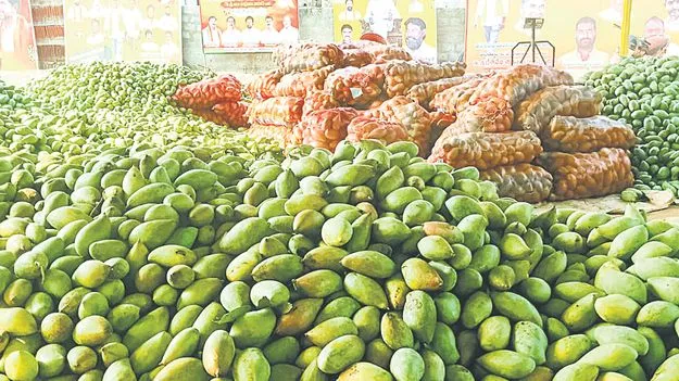 మామిడి ధర ఢమాల్‌