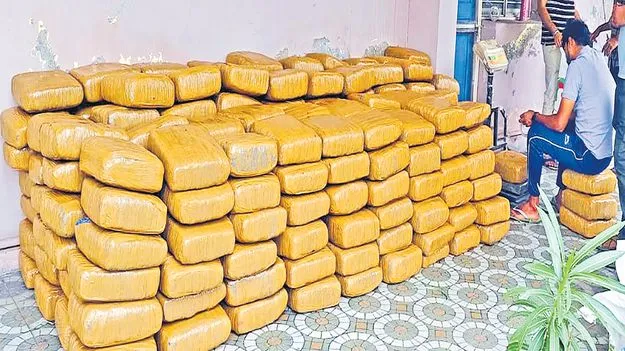 భారీగా గంజాయి పట్టివేత