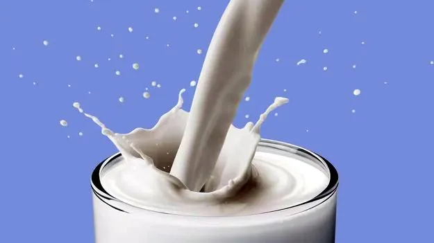 రేపటి నుంచి సంగం పాల సేకరణ ధర పెంపు