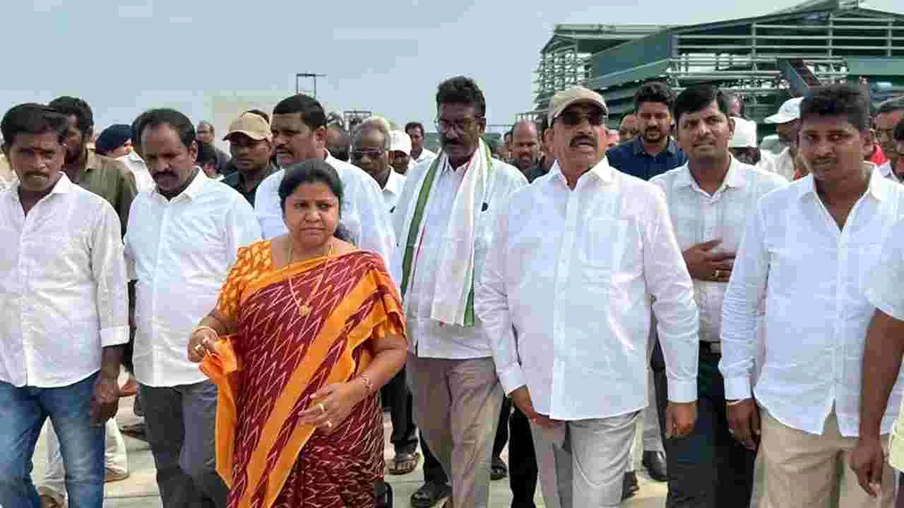 ఆయిల్‌పామ్‌ సాగుతో డబ్బులే డబ్బుల్‌!