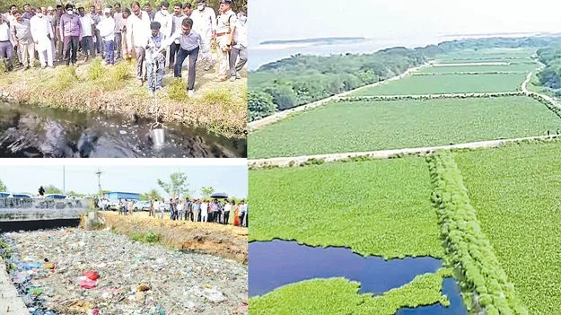 గోదావరికి జీవమేదీ! 