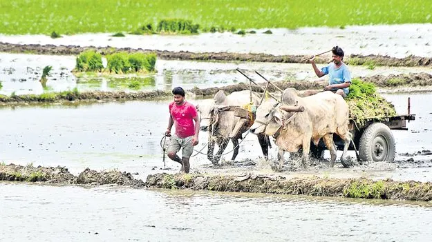 రేపే అన్నదాత సుఖీభవ చెల్లింపులు 