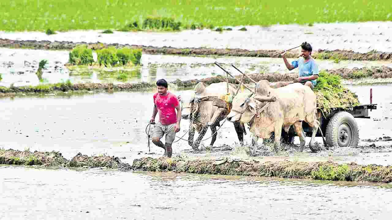 రేపే అన్నదాత సుఖీభవ చెల్లింపులు
