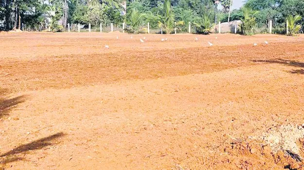 నిషేధిత భూములపై స్పష్టత