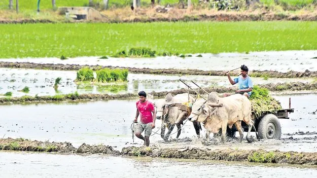 రబీ.. భళా!