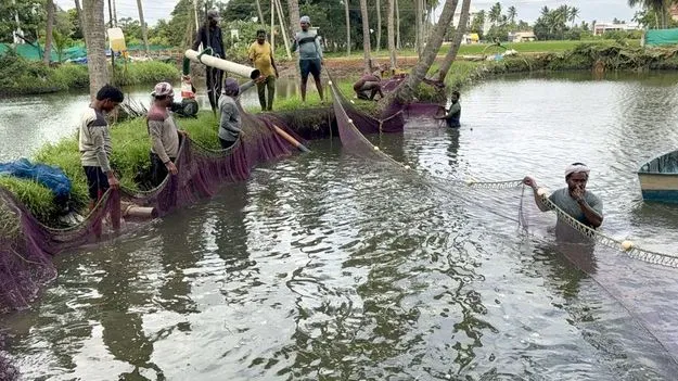 ఆక్వా దాణా ధర పెంపుపై చర్చలు విఫలం