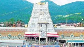 సెల్‌ఫోన్‌తో వైకుంఠం క్యూ కాంప్లెక్స్‌లోకి
