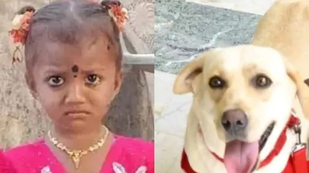 డీహైడ్రేషన్‌తోనే పెంపుడు కుక్క మృతి!