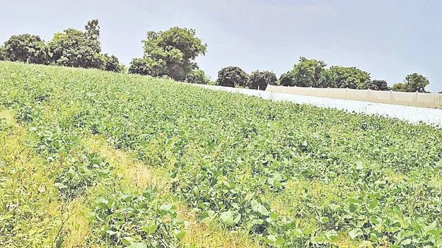 దేశవ్యాప్తంగా జలధార! 